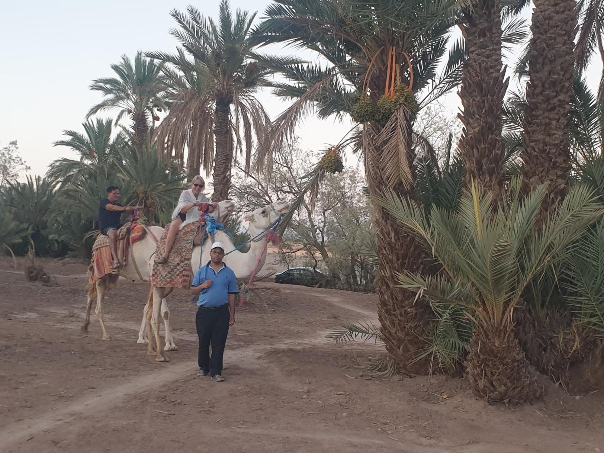 Gite Kasbah La Palmeraie Skoura Kültér fotó