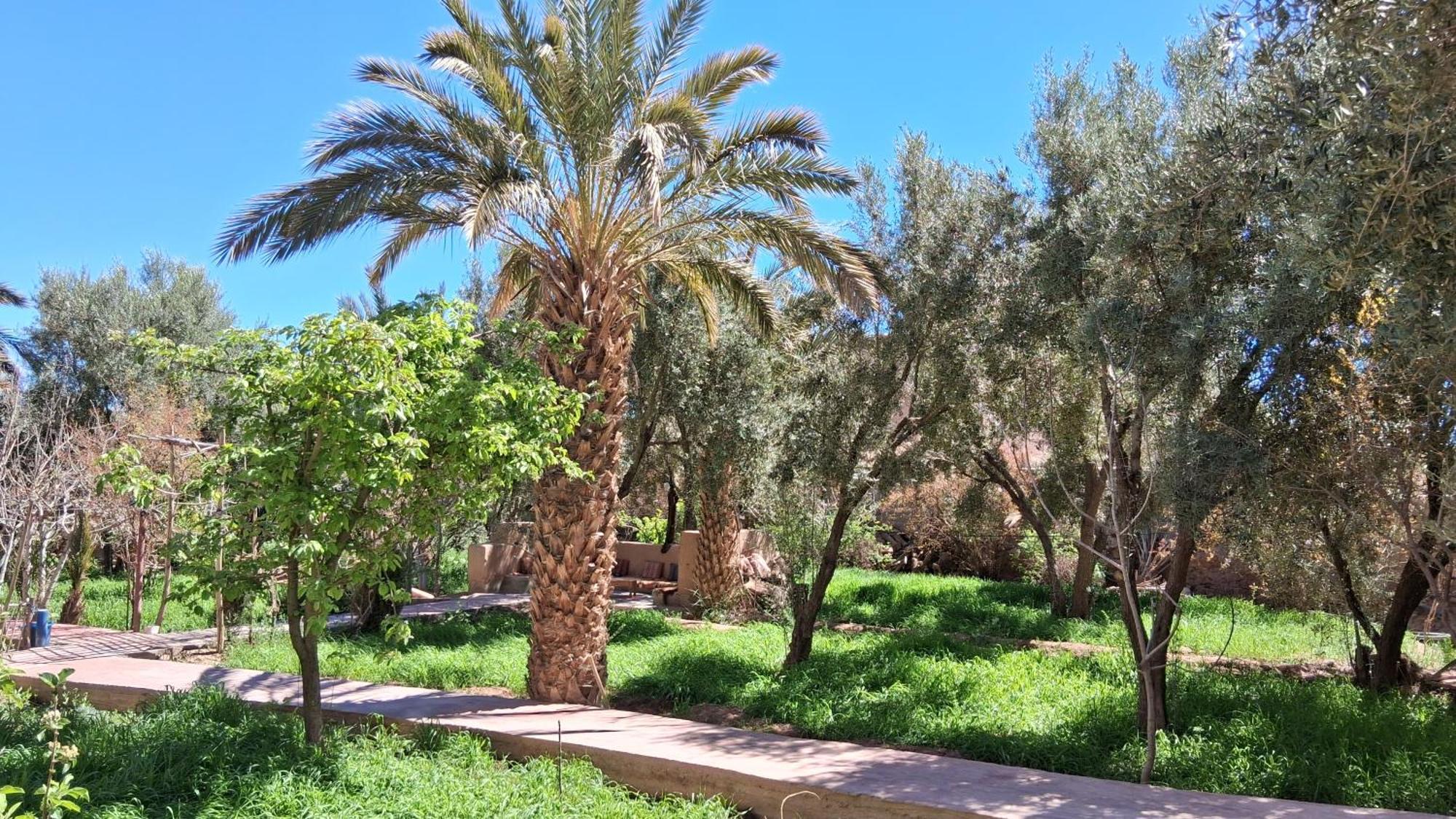 Gite Kasbah La Palmeraie Skoura Kültér fotó